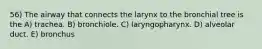 56) The airway that connects the larynx to the bronchial tree is the A) trachea. B) bronchiole. C) laryngopharynx. D) alveolar duct. E) bronchus