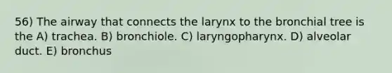 56) The airway that connects the larynx to the bronchial tree is the A) trachea. B) bronchiole. C) laryngopharynx. D) alveolar duct. E) bronchus