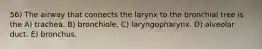 56) The airway that connects the larynx to the bronchial tree is the A) trachea. B) bronchiole. C) laryngopharynx. D) alveolar duct. E) bronchus.