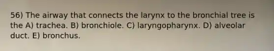 56) The airway that connects the larynx to the bronchial tree is the A) trachea. B) bronchiole. C) laryngopharynx. D) alveolar duct. E) bronchus.