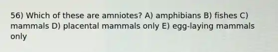 56) Which of these are amniotes? A) amphibians B) fishes C) mammals D) placental mammals only E) egg-laying mammals only