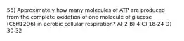 56) Approximately how many molecules of ATP are produced from the complete oxidation of one molecule of glucose (C6H12O6) in aerobic cellular respiration? A) 2 B) 4 C) 18-24 D) 30-32