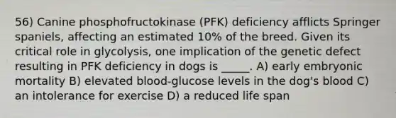 56) Canine phosphofructokinase (PFK) deficiency afflicts Springer spaniels, affecting an estimated 10% of the breed. Given its critical role in glycolysis, one implication of the genetic defect resulting in PFK deficiency in dogs is _____. A) early embryonic mortality B) elevated blood-glucose levels in the dog's blood C) an intolerance for exercise D) a reduced life span