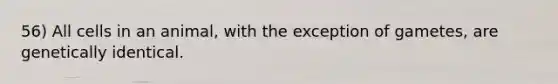56) All cells in an animal, with the exception of gametes, are genetically identical.