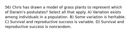 56) Chris has drawn a model of grass plants to represent which of Darwin's postulates? Select all that apply. A) Variation exists among individuals in a population. B) Some variation is heritable. C) Survival and reproductive success is variable. D) Survival and reproductive success is nonrandom.