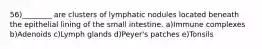 56)________ are clusters of lymphatic nodules located beneath the epithelial lining of the small intestine. a)Immune complexes b)Adenoids c)Lymph glands d)Peyer's patches e)Tonsils