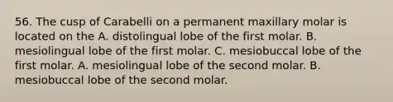 56. The cusp of Carabelli on a permanent maxillary molar is located on the A. distolingual lobe of the first molar. B. mesiolingual lobe of the first molar. C. mesiobuccal lobe of the first molar. A. mesiolingual lobe of the second molar. B. mesiobuccal lobe of the second molar.