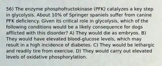 56) The enzyme phosphofructokinase (PFK) catalyzes a key step in glycolysis. About 10% of Springer spaniels suffer from canine PFK deficiency. Given its critical role in glycolysis, which of the following conditions would be a likely consequence for dogs afflicted with this disorder? A) They would die as embryos. B) They would have elevated blood-glucose levels, which may result in a high incidence of diabetes. C) They would be lethargic and readily tire from exercise. D) They would carry out elevated levels of oxidative phosphorylation.