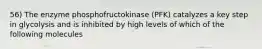 56) The enzyme phosphofructokinase (PFK) catalyzes a key step in glycolysis and is inhibited by high levels of which of the following molecules