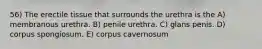 56) The erectile tissue that surrounds the urethra is the A) membranous urethra. B) penile urethra. C) glans penis. D) corpus spongiosum. E) corpus cavernosum