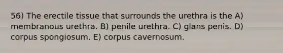 56) The erectile tissue that surrounds the urethra is the A) membranous urethra. B) penile urethra. C) glans penis. D) corpus spongiosum. E) corpus cavernosum.