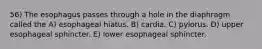 56) The esophagus passes through a hole in the diaphragm called the A) esophageal hiatus. B) cardia. C) pylorus. D) upper esophageal sphincter. E) lower esophageal sphincter.