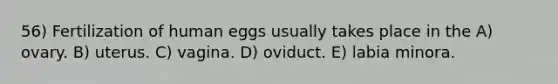 56) Fertilization of human eggs usually takes place in the A) ovary. B) uterus. C) vagina. D) oviduct. E) labia minora.