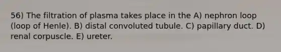 56) The filtration of plasma takes place in the A) nephron loop (loop of Henle). B) distal convoluted tubule. C) papillary duct. D) renal corpuscle. E) ureter.
