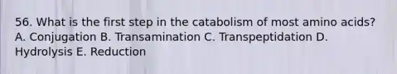 56. What is the first step in the catabolism of most amino acids? A. Conjugation B. Transamination C. Transpeptidation D. Hydrolysis E. Reduction