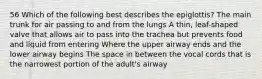 56 Which of the following best describes the epiglottis? The main trunk for air passing to and from the lungs A thin, leaf-shaped valve that allows air to pass into the trachea but prevents food and liquid from entering Where the upper airway ends and the lower airway begins The space in between the vocal cords that is the narrowest portion of the adult's airway