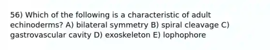 56) Which of the following is a characteristic of adult echinoderms? A) bilateral symmetry B) spiral cleavage C) gastrovascular cavity D) exoskeleton E) lophophore