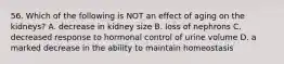 56. Which of the following is NOT an effect of aging on the kidneys? A. decrease in kidney size B. loss of nephrons C. decreased response to hormonal control of urine volume D. a marked decrease in the ability to maintain homeostasis