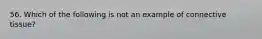 56. Which of the following is not an example of connective tissue?