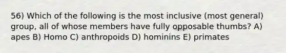 56) Which of the following is the most inclusive (most general) group, all of whose members have fully opposable thumbs? A) apes B) Homo C) anthropoids D) hominins E) primates