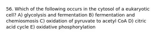 56. Which of the following occurs in the cytosol of a eukaryotic cell? A) glycolysis and fermentation B) fermentation and chemiosmosis C) oxidation of pyruvate to acetyl CoA D) citric acid cycle E) oxidative phosphorylation