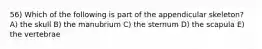 56) Which of the following is part of the appendicular skeleton? A) the skull B) the manubrium C) the sternum D) the scapula E) the vertebrae