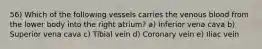 56) Which of the following vessels carries the venous blood from the lower body into the right atrium? a) Inferior vena cava b) Superior vena cava c) Tibial vein d) Coronary vein e) Iliac vein