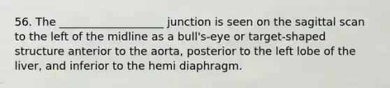 56. The ___________________ junction is seen on the sagittal scan to the left of the midline as a bull's-eye or target-shaped structure anterior to the aorta, posterior to the left lobe of the liver, and inferior to the hemi diaphragm.