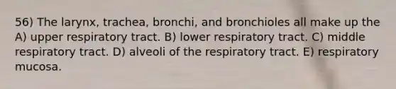 56) The larynx, trachea, bronchi, and bronchioles all make up the A) upper respiratory tract. B) lower respiratory tract. C) middle respiratory tract. D) alveoli of the respiratory tract. E) respiratory mucosa.