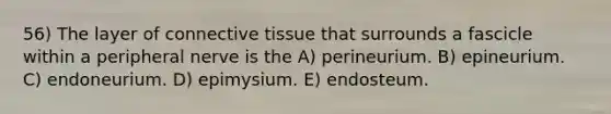 56) The layer of connective tissue that surrounds a fascicle within a peripheral nerve is the A) perineurium. B) epineurium. C) endoneurium. D) epimysium. E) endosteum.