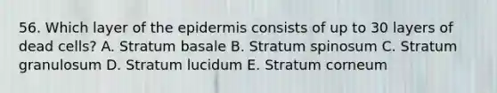 56. Which layer of <a href='https://www.questionai.com/knowledge/kBFgQMpq6s-the-epidermis' class='anchor-knowledge'>the epidermis</a> consists of up to 30 layers of dead cells? A. Stratum basale B. Stratum spinosum C. Stratum granulosum D. Stratum lucidum E. Stratum corneum