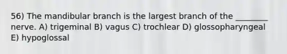 56) The mandibular branch is the largest branch of the ________ nerve. A) trigeminal B) vagus C) trochlear D) glossopharyngeal E) hypoglossal