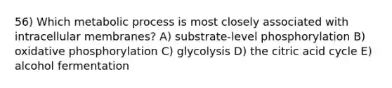 56) Which metabolic process is most closely associated with intracellular membranes? A) substrate-level phosphorylation B) oxidative phosphorylation C) glycolysis D) the citric acid cycle E) alcohol fermentation