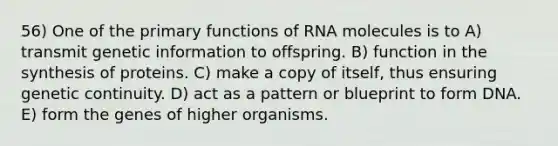 56) One of the primary functions of RNA molecules is to A) transmit genetic information to offspring. B) function in the synthesis of proteins. C) make a copy of itself, thus ensuring genetic continuity. D) act as a pattern or blueprint to form DNA. E) form the genes of higher organisms.