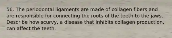 56. The periodontal ligaments are made of collagen fibers and are responsible for connecting the roots of the teeth to the jaws. Describe how scurvy, a disease that inhibits collagen production, can affect the teeth.