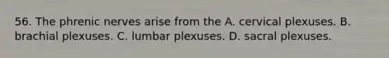 56. The phrenic nerves arise from the A. cervical plexuses. B. brachial plexuses. C. lumbar plexuses. D. sacral plexuses.