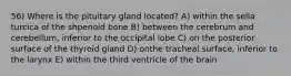 56) Where is the pituitary gland located? A) within the sella turcica of the shpenoid bone B) between the cerebrum and cerebellum, inferior to the occipital lobe C) on the posterior surface of the thyroid gland D) onthe tracheal surface, inferior to the larynx E) within the third ventricle of the brain