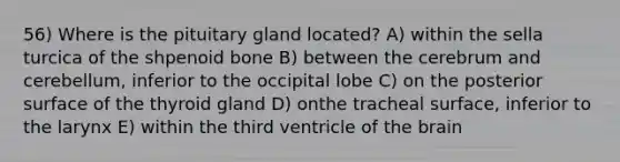 56) Where is the pituitary gland located? A) within the sella turcica of the shpenoid bone B) between the cerebrum and cerebellum, inferior to the occipital lobe C) on the posterior surface of the thyroid gland D) onthe tracheal surface, inferior to the larynx E) within the third ventricle of <a href='https://www.questionai.com/knowledge/kLMtJeqKp6-the-brain' class='anchor-knowledge'>the brain</a>