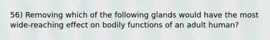 56) Removing which of the following glands would have the most wide-reaching effect on bodily functions of an adult human?