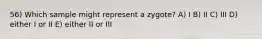 56) Which sample might represent a zygote? A) I B) II C) III D) either I or II E) either II or III