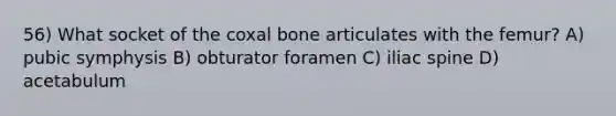 56) What socket of the coxal bone articulates with the femur? A) pubic symphysis B) obturator foramen C) iliac spine D) acetabulum