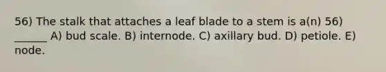 56) The stalk that attaches a leaf blade to a stem is a(n) 56) ______ A) bud scale. B) internode. C) axillary bud. D) petiole. E) node.