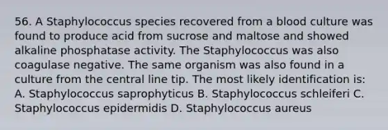 56. A Staphylococcus species recovered from a blood culture was found to produce acid from sucrose and maltose and showed alkaline phosphatase activity. The Staphylococcus was also coagulase negative. The same organism was also found in a culture from the central line tip. The most likely identification is: A. Staphylococcus saprophyticus B. Staphylococcus schleiferi C. Staphylococcus epidermidis D. Staphylococcus aureus