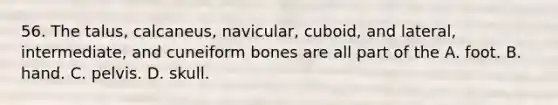 56. The talus, calcaneus, navicular, cuboid, and lateral, intermediate, and cuneiform bones are all part of the A. foot. B. hand. C. pelvis. D. skull.