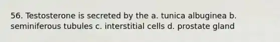 56. Testosterone is secreted by the a. tunica albuginea b. seminiferous tubules c. interstitial cells d. prostate gland