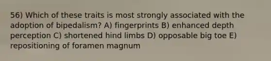 56) Which of these traits is most strongly associated with the adoption of bipedalism? A) fingerprints B) enhanced depth perception C) shortened hind limbs D) opposable big toe E) repositioning of foramen magnum