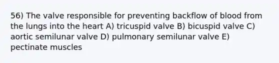 56) The valve responsible for preventing backflow of blood from the lungs into the heart A) tricuspid valve B) bicuspid valve C) aortic semilunar valve D) pulmonary semilunar valve E) pectinate muscles