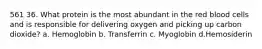 561 36. What protein is the most abundant in the red blood cells and is responsible for delivering oxygen and picking up carbon dioxide? a. Hemoglobin b. Transferrin c. Myoglobin d.Hemosiderin