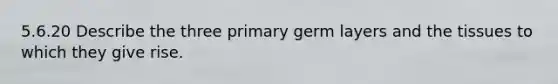 5.6.20 Describe the three primary germ layers and the tissues to which they give rise.