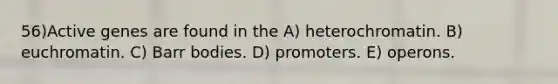 56)​Active genes are found in the ​​A) heterochromatin.​​ B) euchromatin. ​C) Barr bodies.​ D) promoters.​ E) operons.